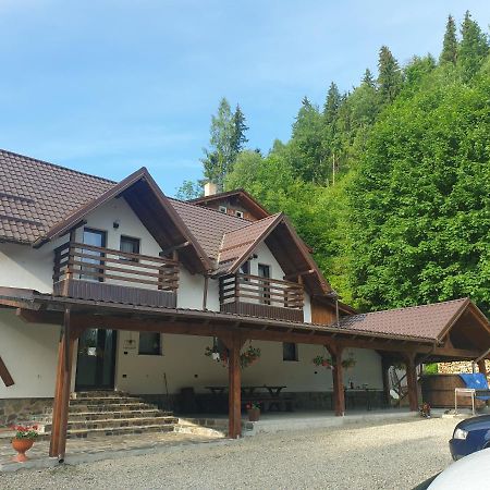 Pensiunea Cheile Repezii Borşa Exterior foto