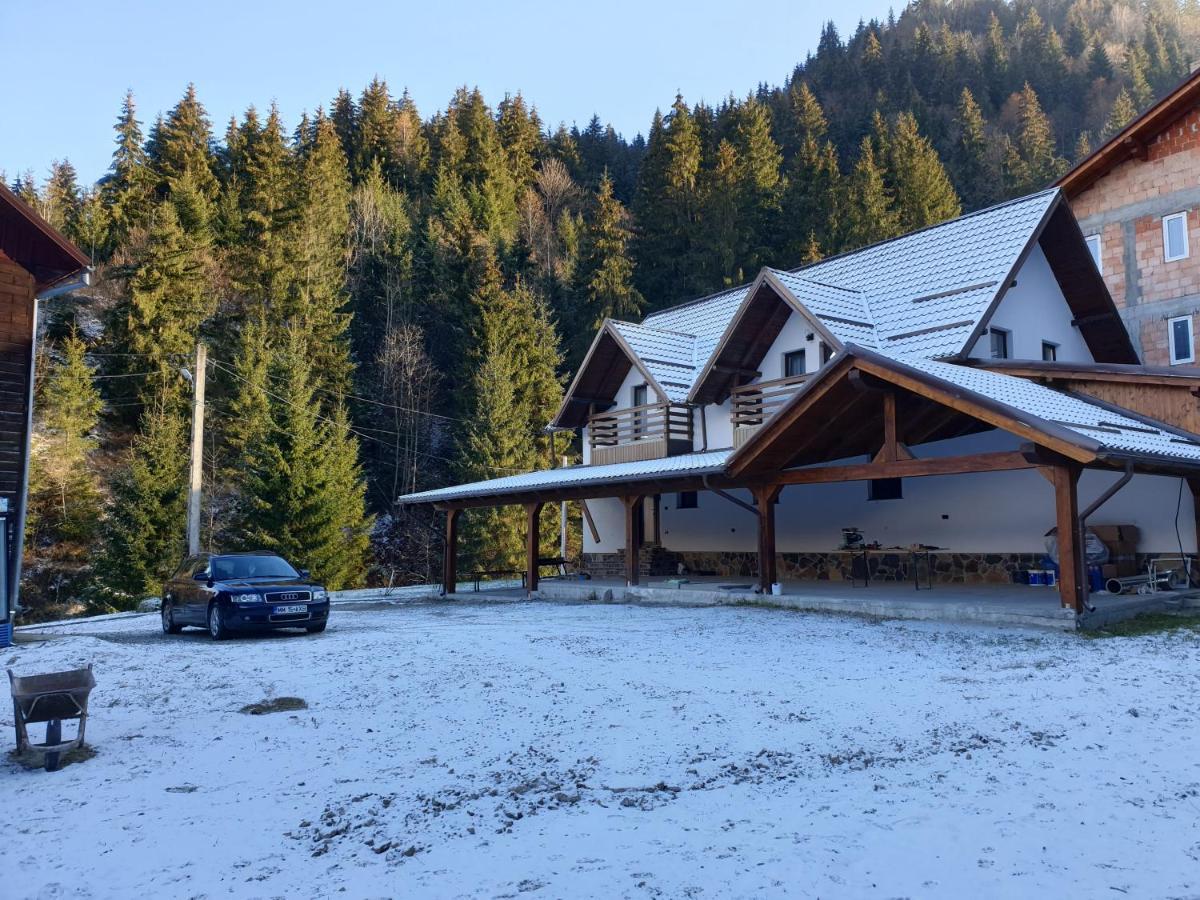 Pensiunea Cheile Repezii Borşa Exterior foto
