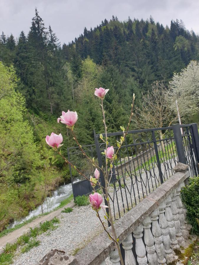 Pensiunea Cheile Repezii Borşa Exterior foto