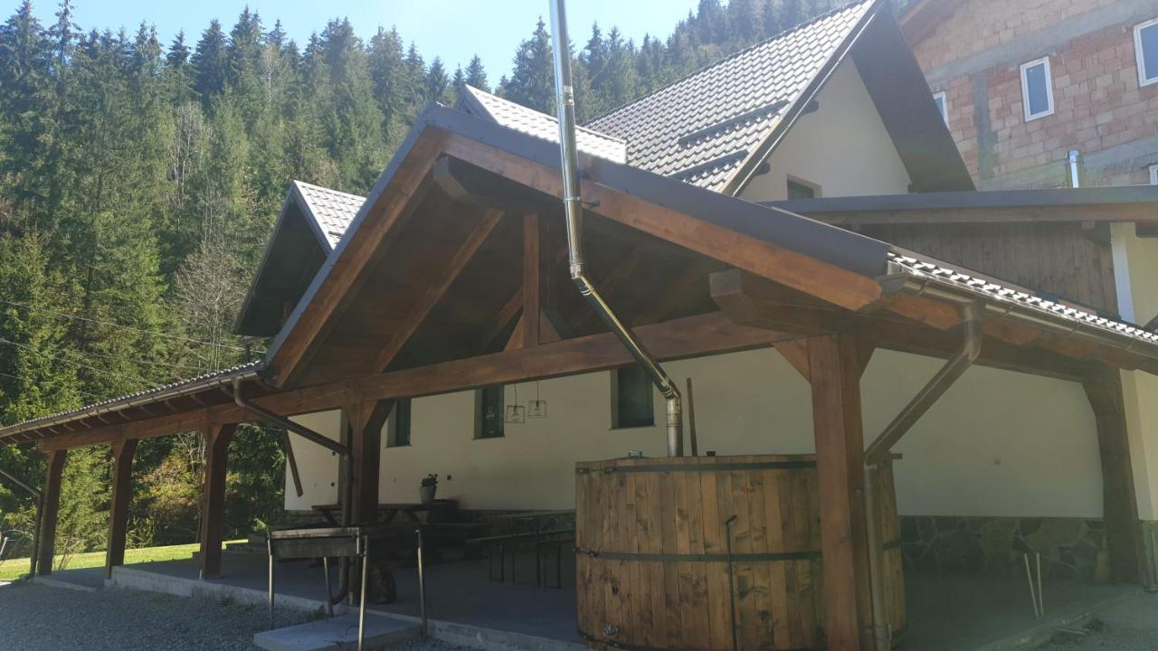 Pensiunea Cheile Repezii Borşa Exterior foto