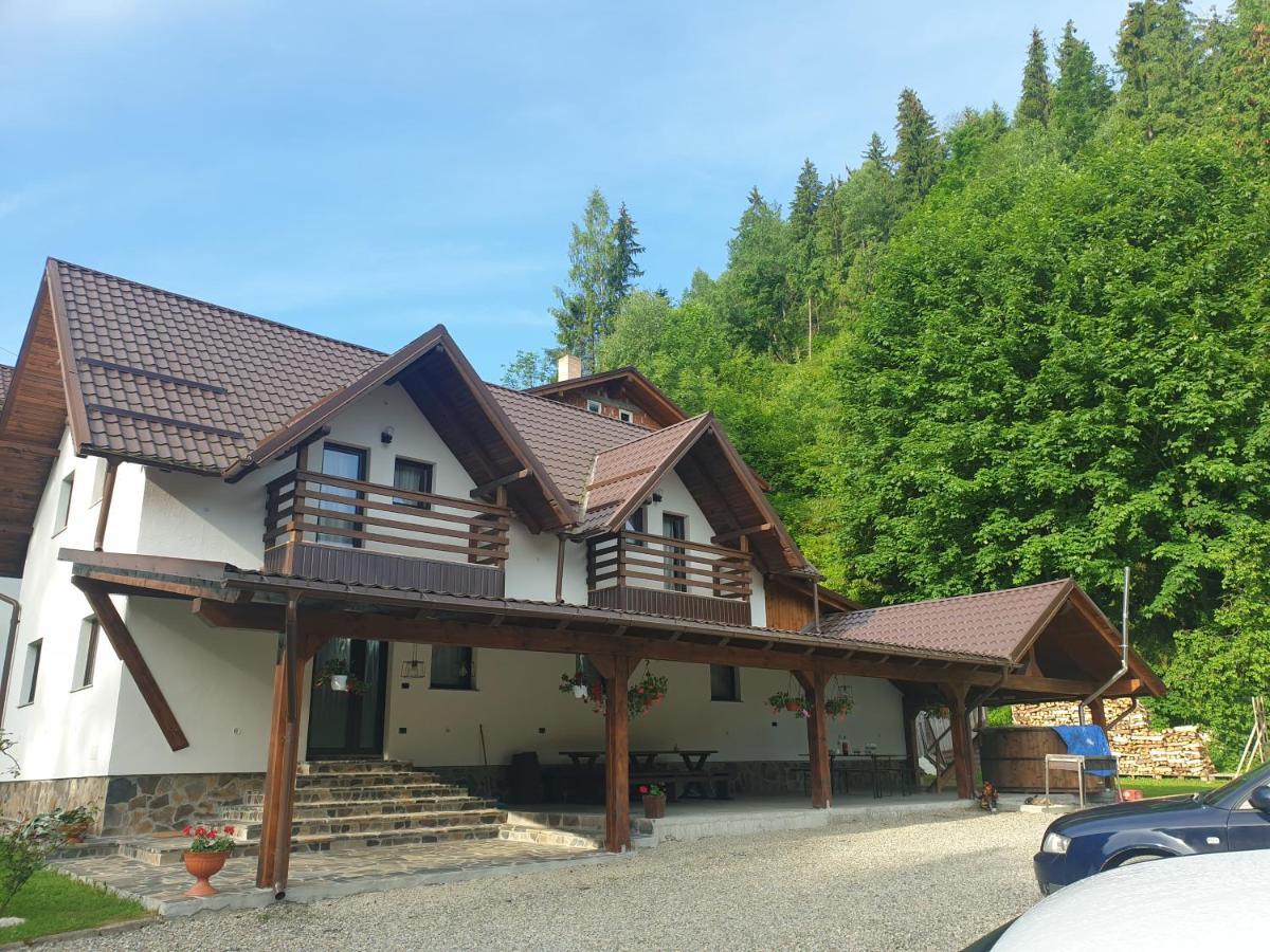 Pensiunea Cheile Repezii Borşa Exterior foto